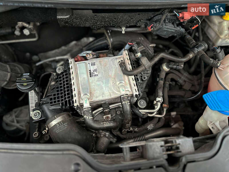 Мінівен Volkswagen Caravelle 2021 в Кам'янському фото 59 Мінівен Volkswagen Caravelle 2021 в Кам'янському