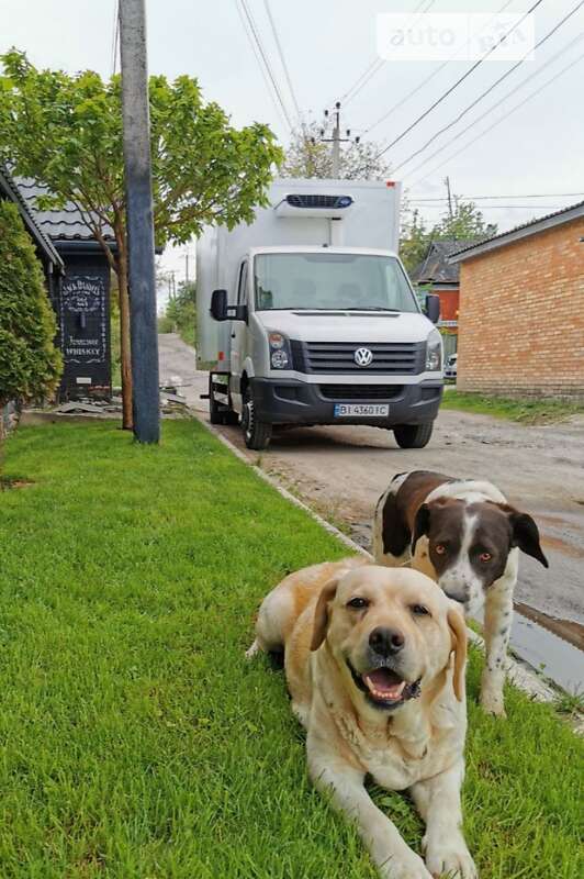 Рефрижератор Volkswagen Crafter 2013 в Виннице