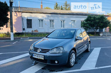 Хетчбек Volkswagen Golf 2004 в Житомирі