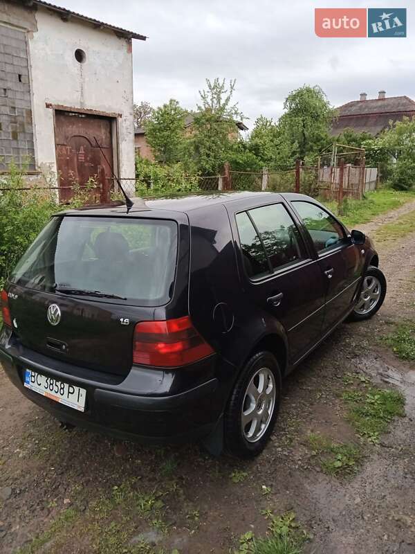 Хэтчбек Volkswagen Golf 2001 в Ходорове