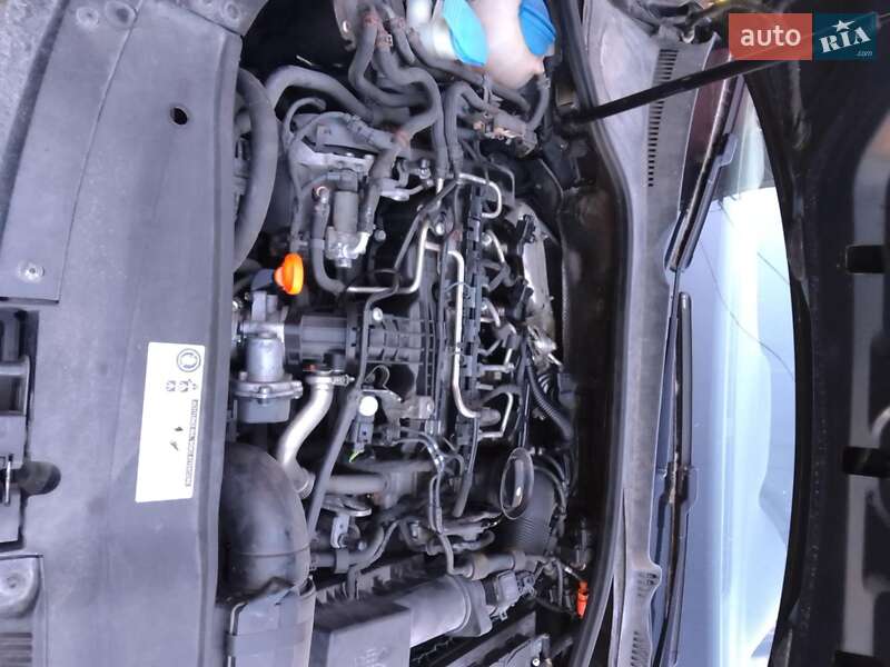 Універсал Volkswagen Golf 2011 в Бережанах