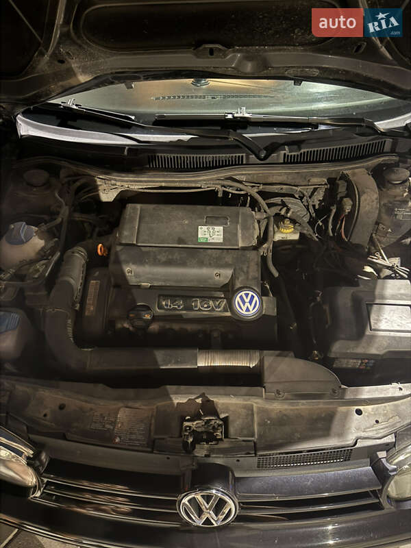 Хетчбек Volkswagen Golf 2003 в Тернополі