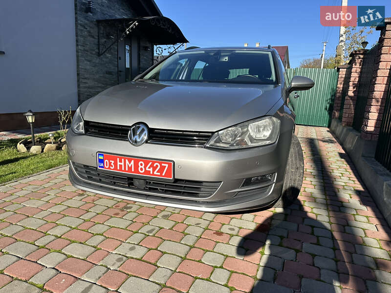 Универсал Volkswagen Golf 2015 в Лопатине фото 25 Универсал Volkswagen Golf 2015 в Лопатине