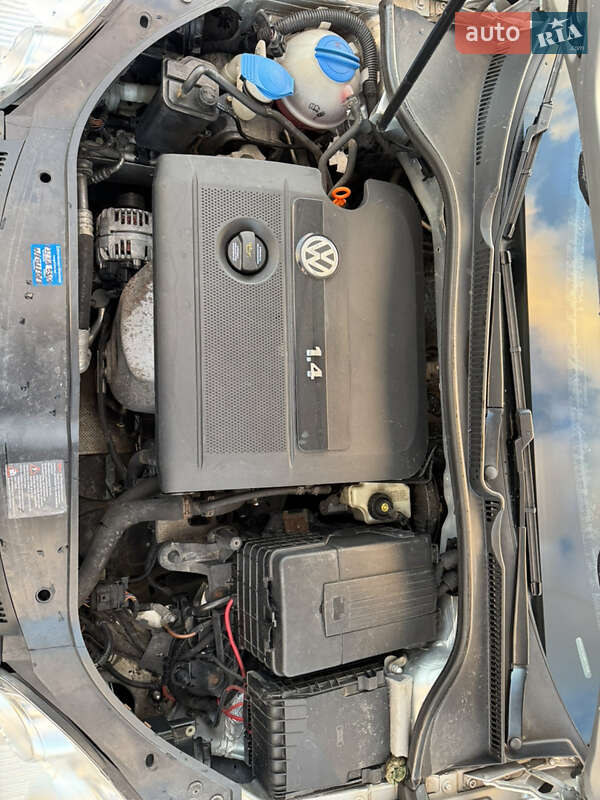 Хетчбек Volkswagen Golf 2006 в Звягелі