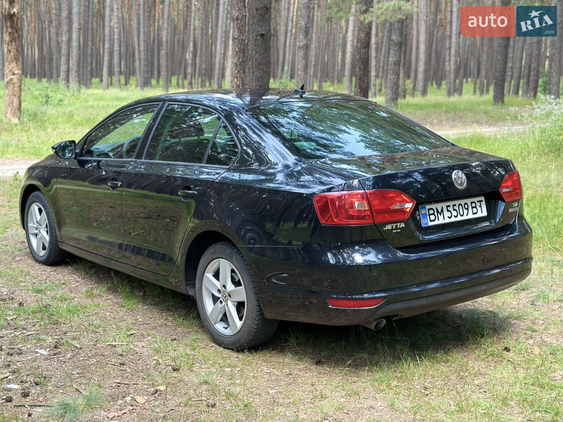 2014 Volkswagen Jetta - мініатюра 10