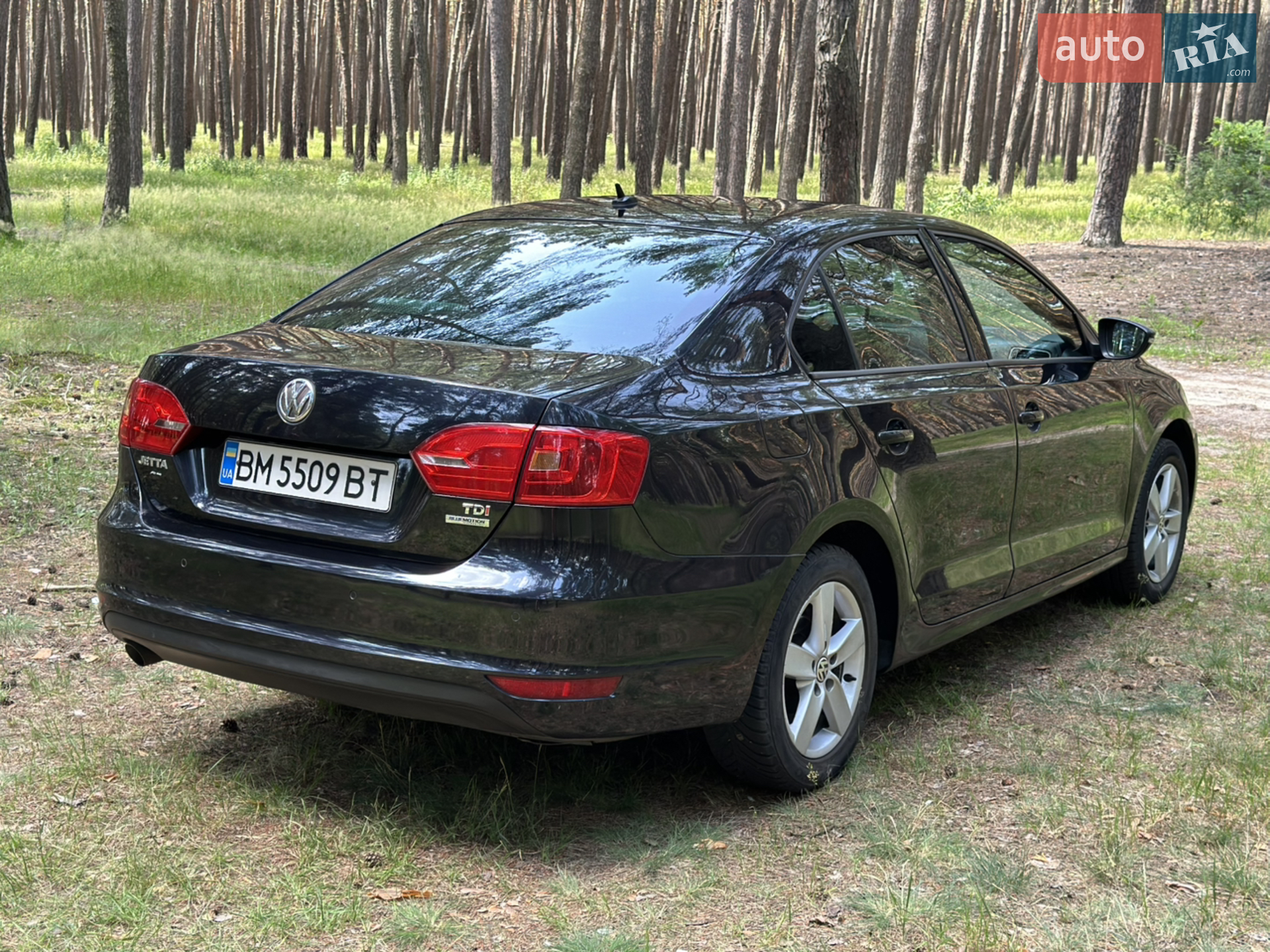 2014 Volkswagen Jetta - мініатюра 13