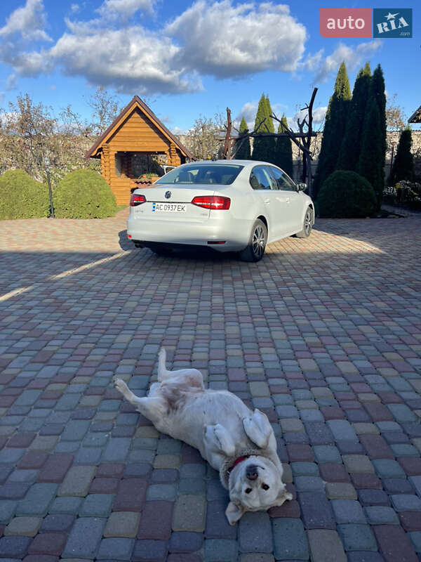 Седан Volkswagen Jetta 2017 в Луцьку