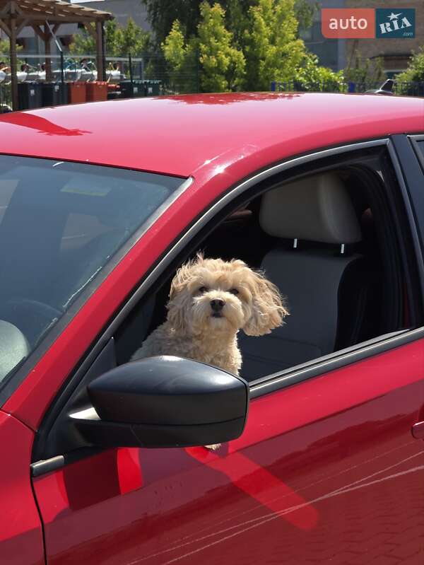 Седан Volkswagen Jetta 2015 в Нововолинську