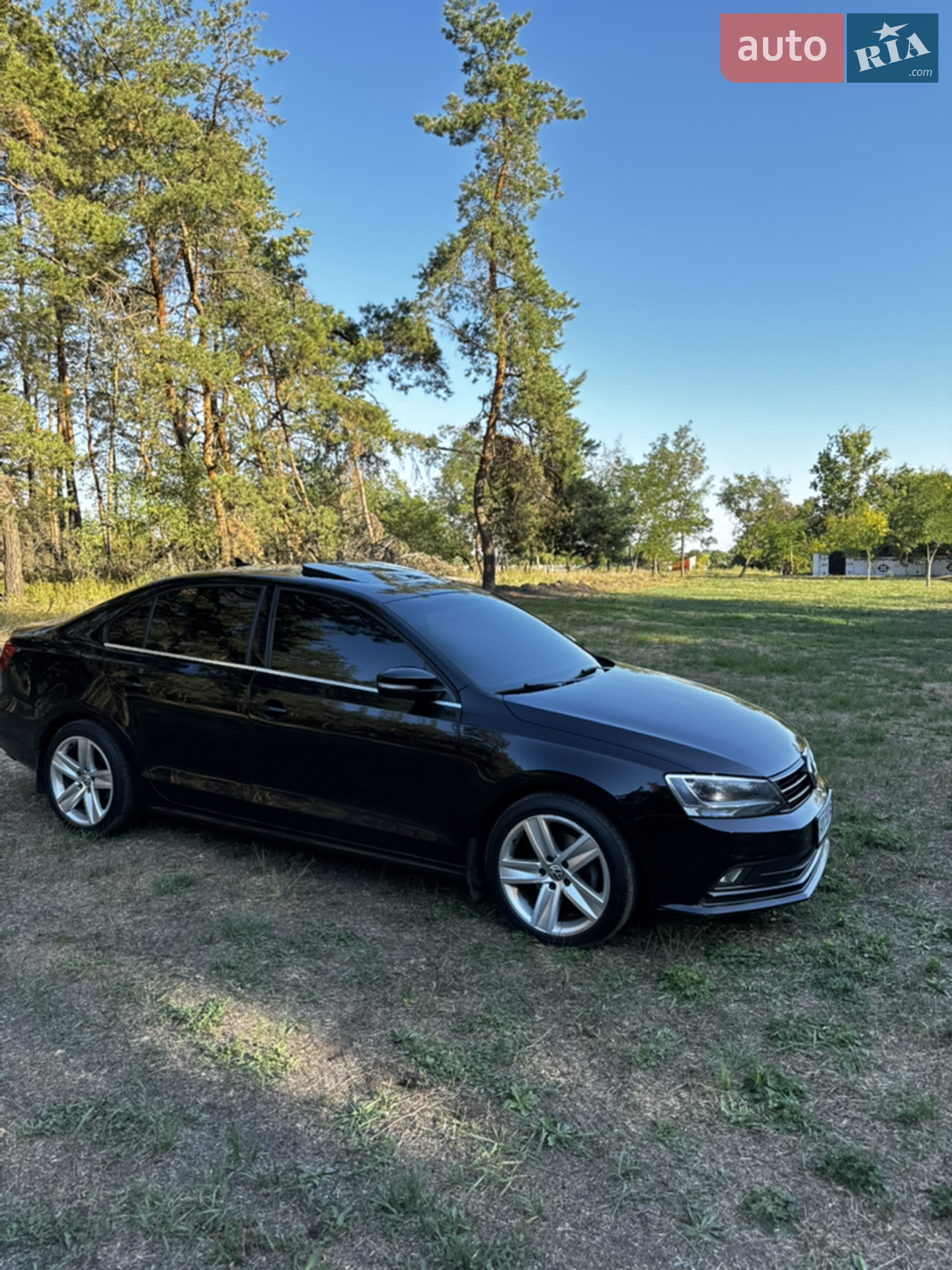 2014 Volkswagen Jetta - мініатюра 12