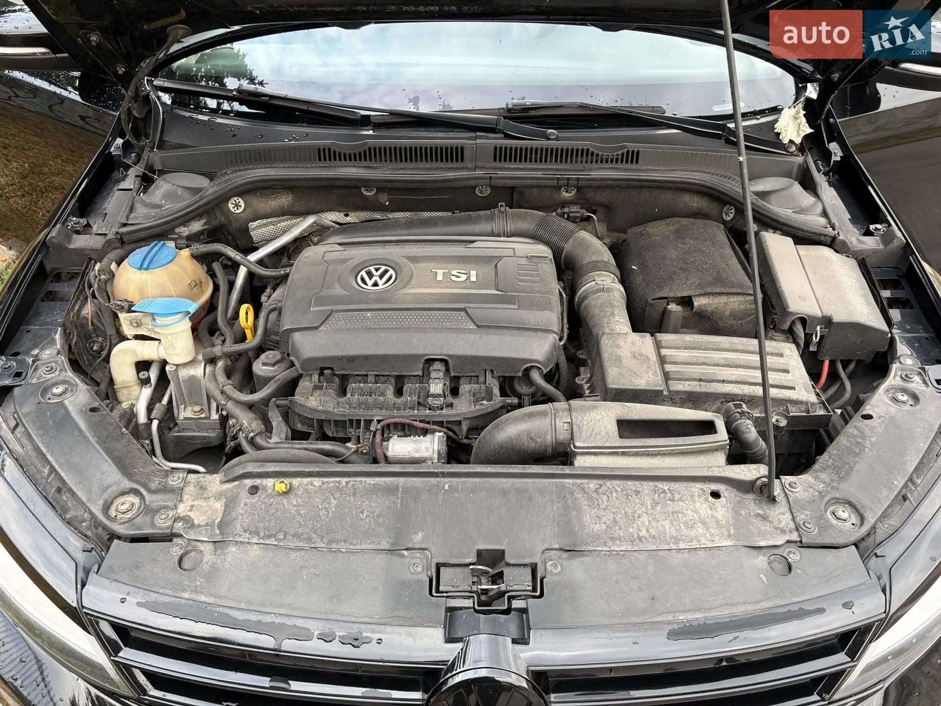 2015 Volkswagen Jetta - мініатюра 12