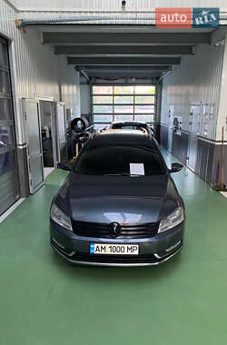 Volkswagen Passat 2013 Volkswagen Passat 2013