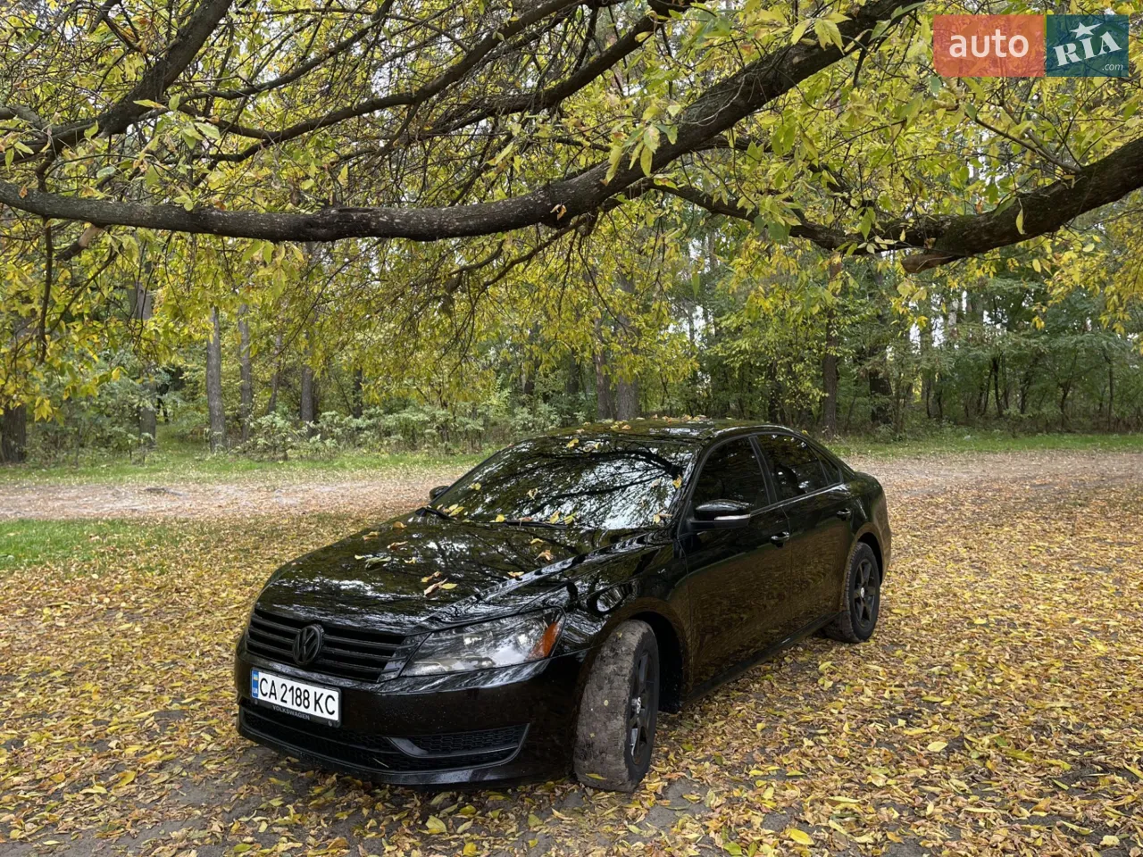 2013 Volkswagen Passat - мініатюра 10