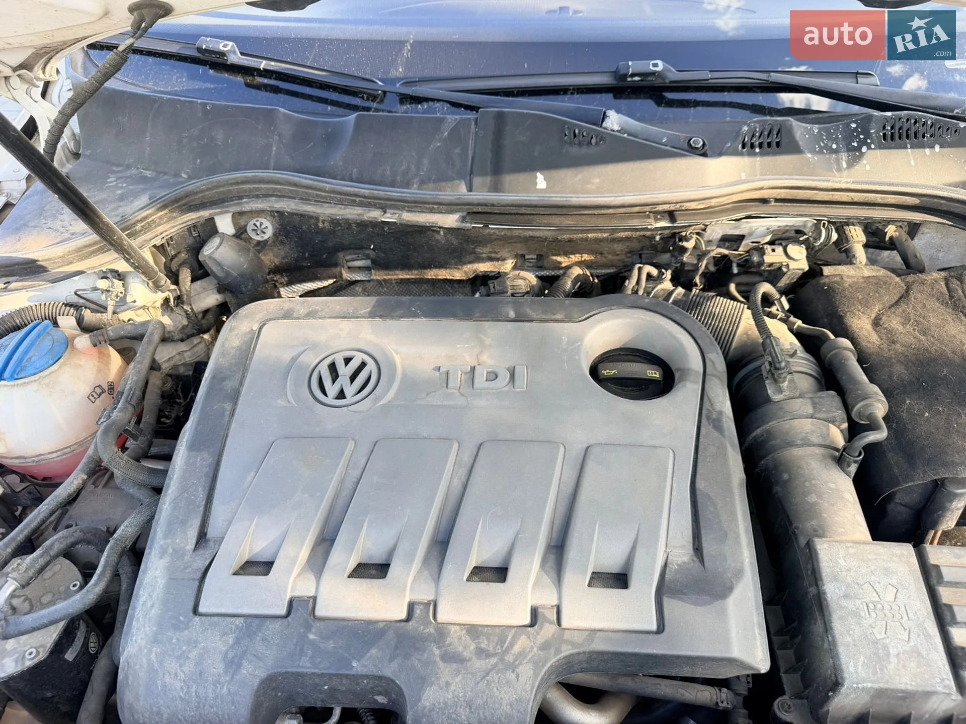 2013 Volkswagen Passat - мініатюра 13