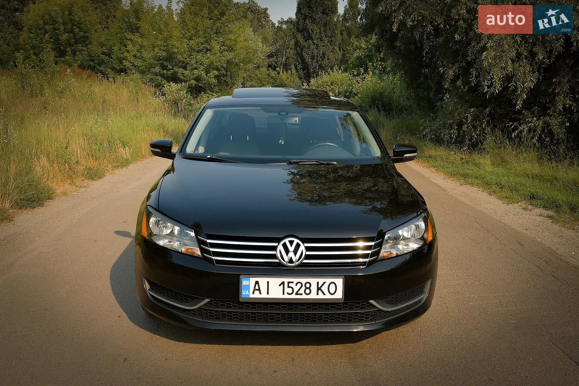 2013 Volkswagen Passat - мініатюра 3