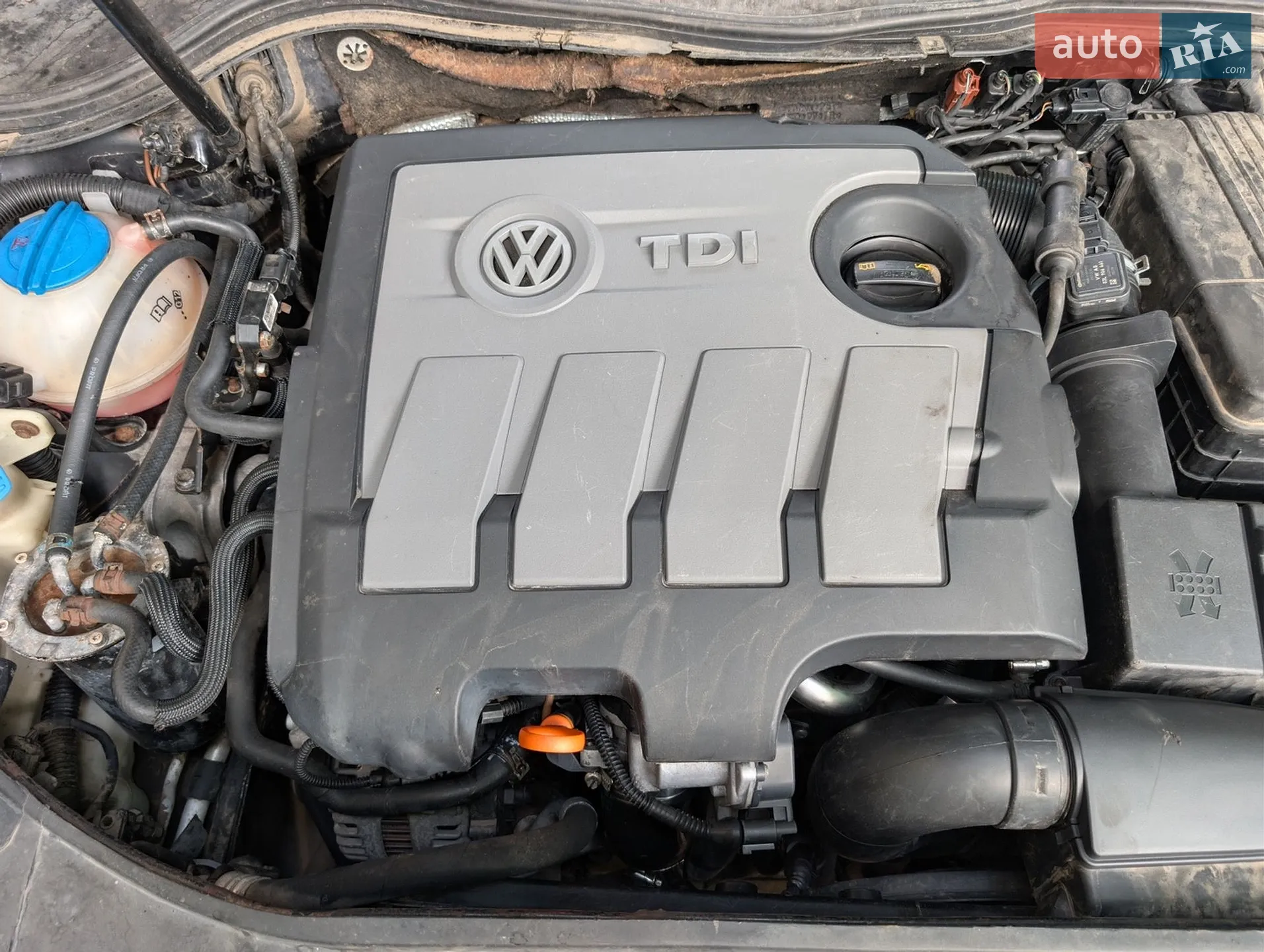 2010 Volkswagen Passat - мініатюра 7