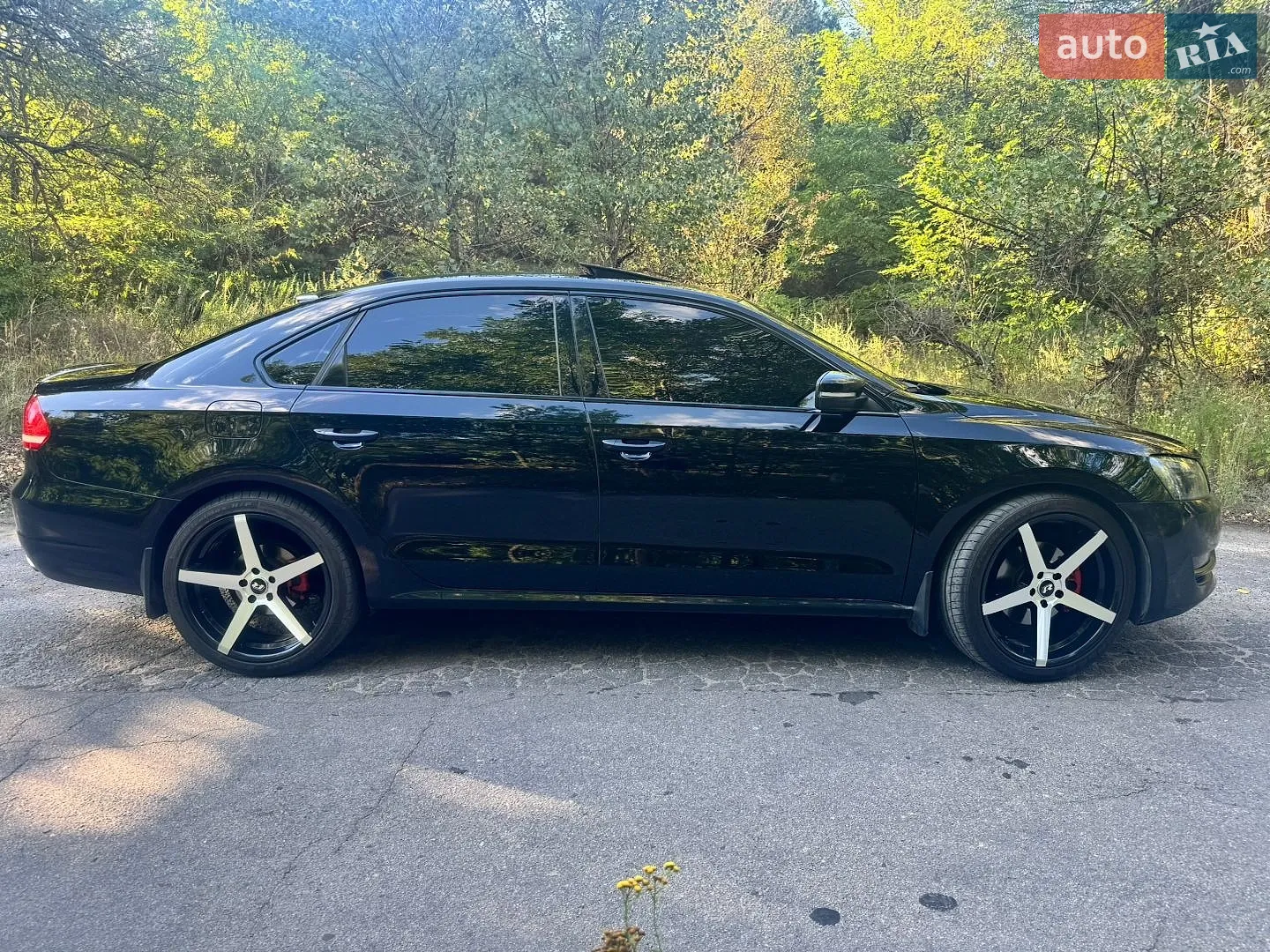 2012 Volkswagen Passat - мініатюра 2
