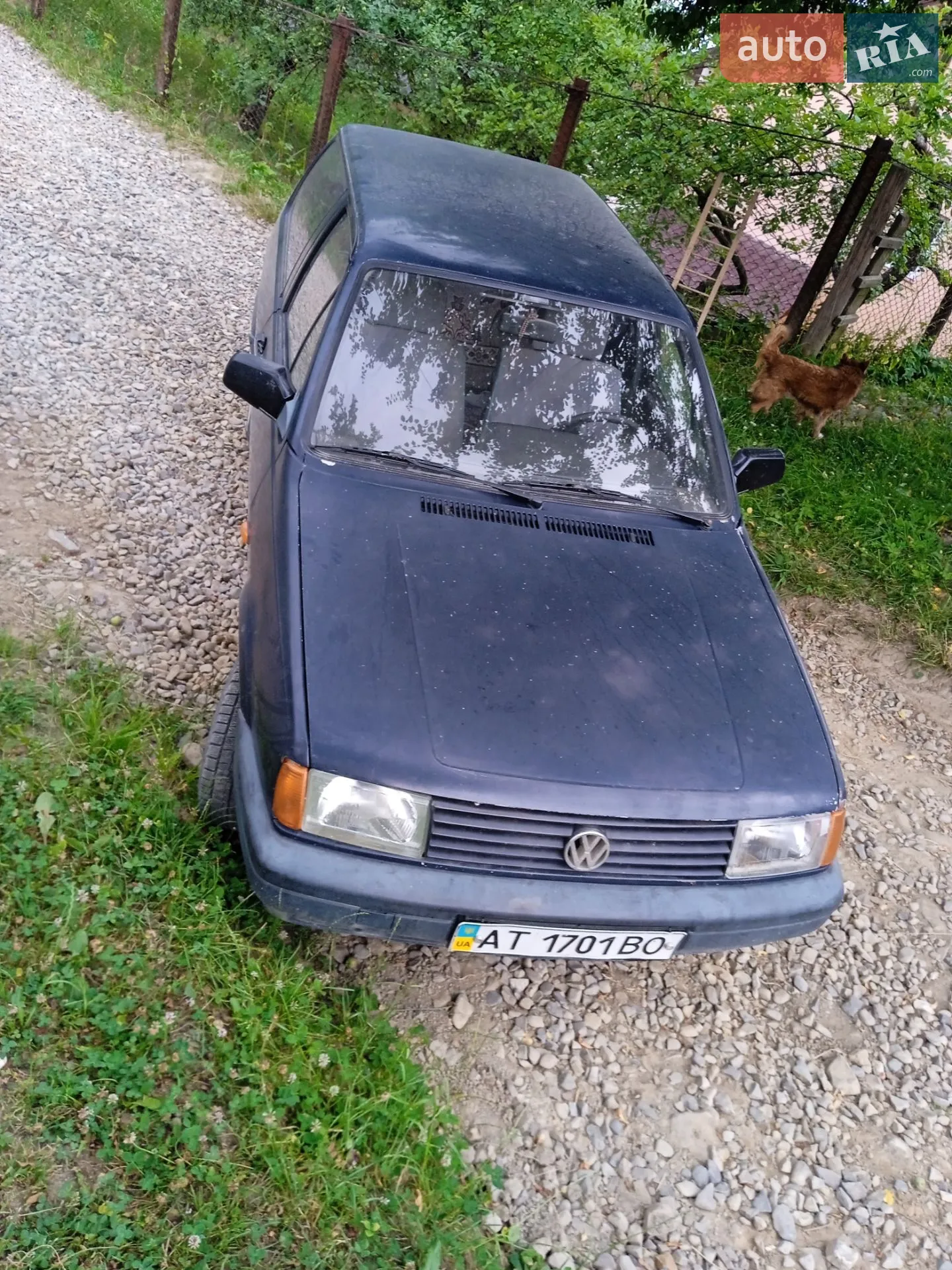 Фото авто 7