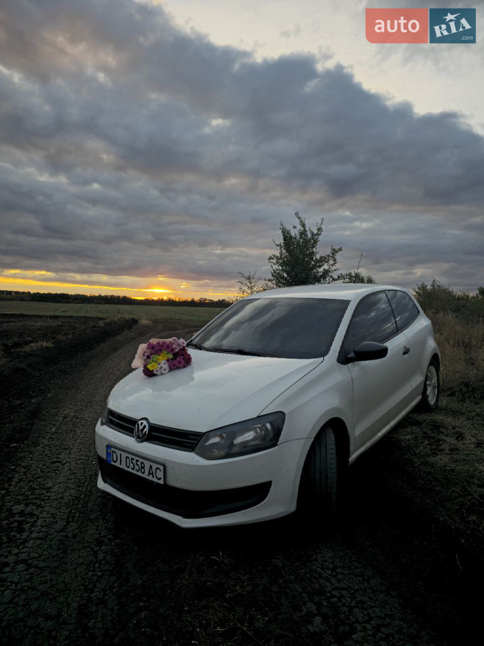 2013 Volkswagen Polo - мініатюра 12