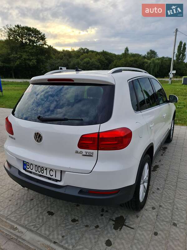 Внедорожник / Кроссовер Volkswagen Tiguan 2013 в Тернополе