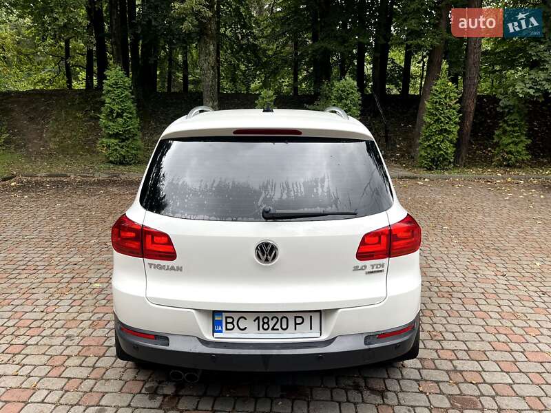 Внедорожник / Кроссовер Volkswagen Tiguan 2012 в Трускавце