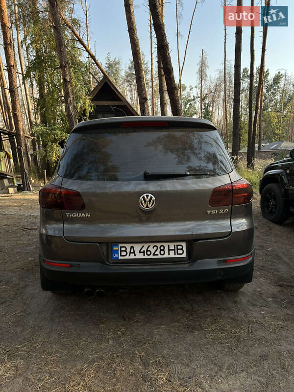 Внедорожник / Кроссовер Volkswagen Tiguan 2011 в Славянске фото 10 Внедорожник / Кроссовер Volkswagen Tiguan 2011 в Славянске
