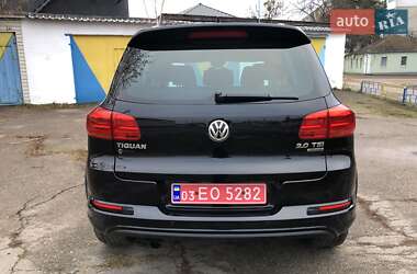 Позашляховик / Кросовер Volkswagen Tiguan 2013 в Житомирі