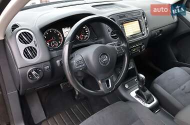 Позашляховик / Кросовер Volkswagen Tiguan 2013 в Житомирі