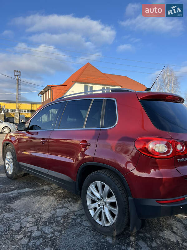 Внедорожник / Кроссовер Volkswagen Tiguan 2009 в Звягеле
