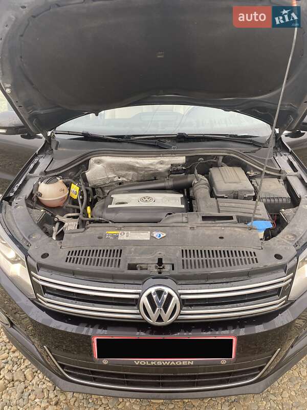 Позашляховик / Кросовер Volkswagen Tiguan 2013 в Чернівцях