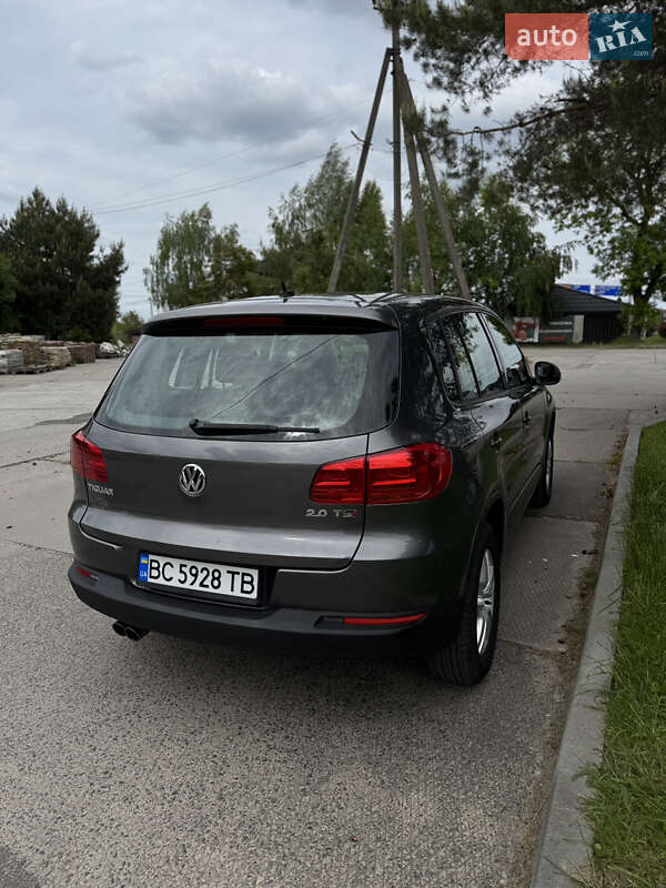 Внедорожник / Кроссовер Volkswagen Tiguan 2013 в Львове