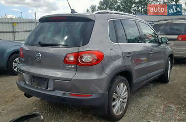Внедорожник / Кроссовер Volkswagen Tiguan 2011 в 
