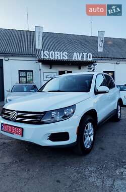 Позашляховик / Кросовер Volkswagen Tiguan 2014 в Чернігові
