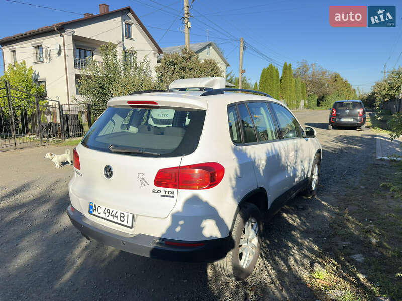 Внедорожник / Кроссовер Volkswagen Tiguan 2013 в Луцке фото 4 Внедорожник / Кроссовер Volkswagen Tiguan 2013 в Луцке