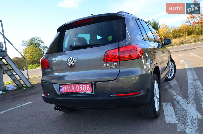 Внедорожник / Кроссовер Volkswagen Tiguan 2015 в Дрогобыче