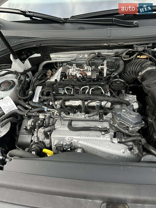 Внедорожник / Кроссовер Volkswagen Tiguan 2021 в Бродах фото 78 Внедорожник / Кроссовер Volkswagen Tiguan 2021 в Бродах
