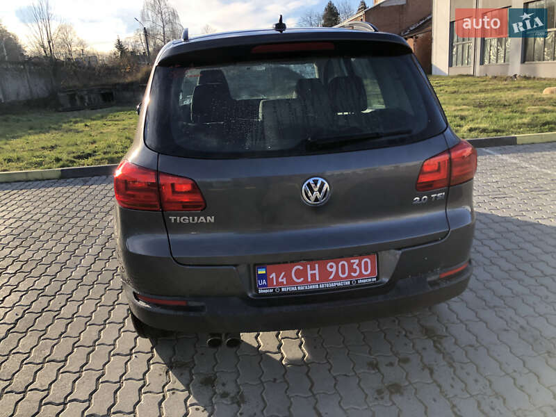 Внедорожник / Кроссовер Volkswagen Tiguan 2014 в Трускавце