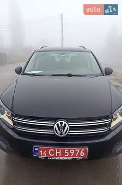 Внедорожник / Кроссовер Volkswagen Tiguan 2017 в Виньковцах