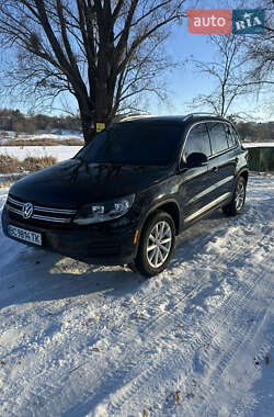 Внедорожник / Кроссовер Volkswagen Tiguan 2016 в Фастове