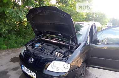 Мінівен Volkswagen Touran 2003 в Бердичеві