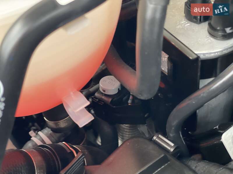 Грузовой фургон Volkswagen Transporter 2024 в Виннице фото 38 Грузовой фургон Volkswagen Transporter 2024 в Виннице