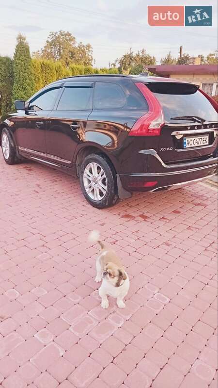 Внедорожник / Кроссовер Volvo XC60 2015 в Львове фото 4 Внедорожник / Кроссовер Volvo XC60 2015 в Львове