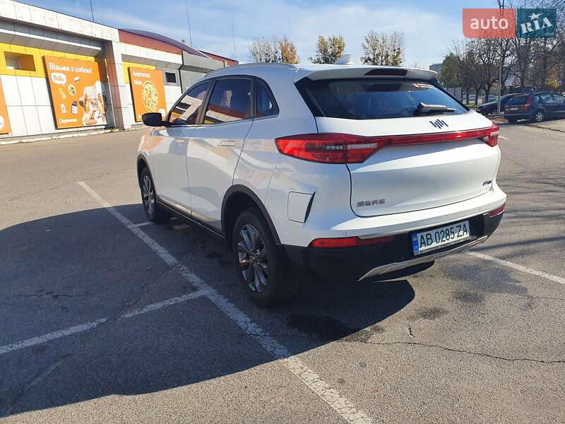 Weltmeister EX5 2019
