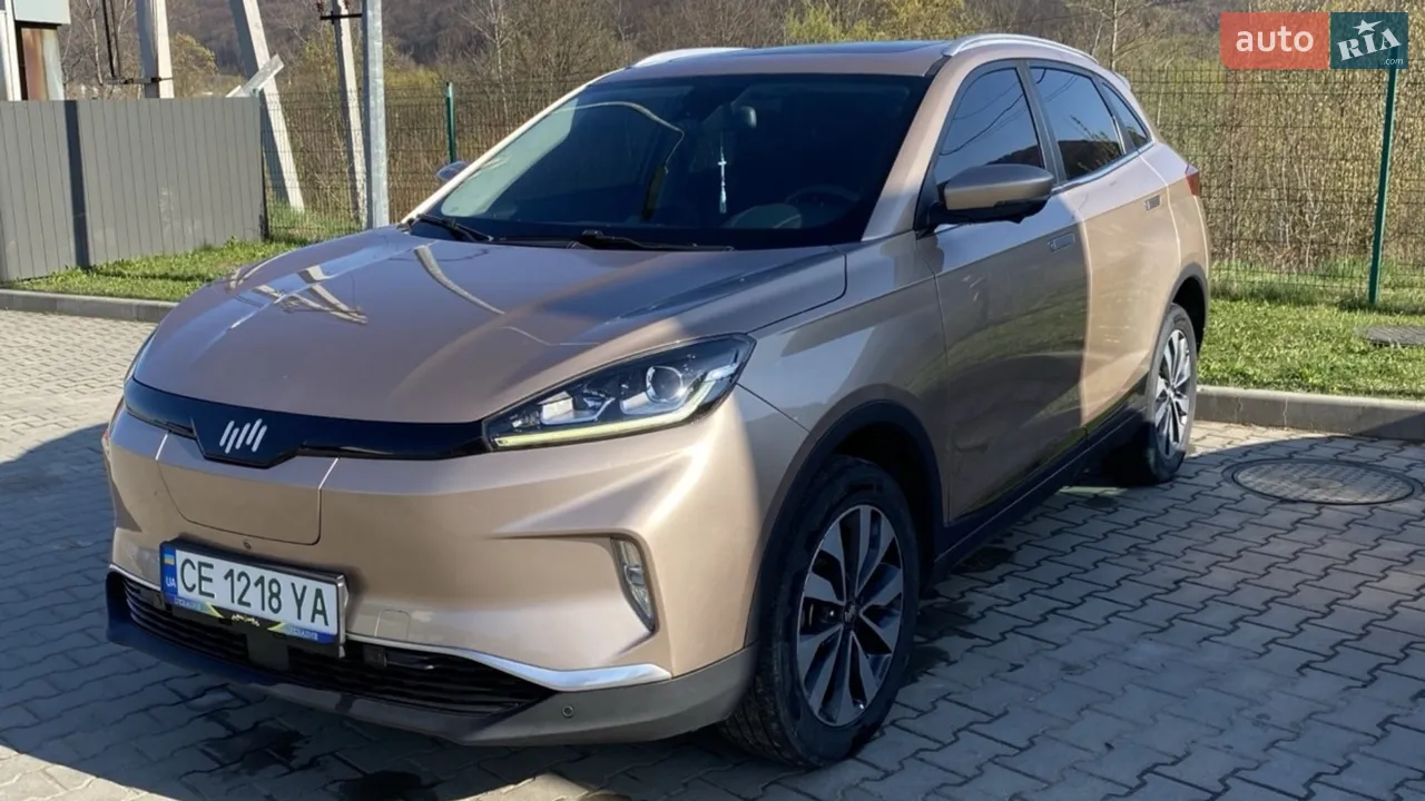 2018 Weltmeister EX5 - мініатюра 9