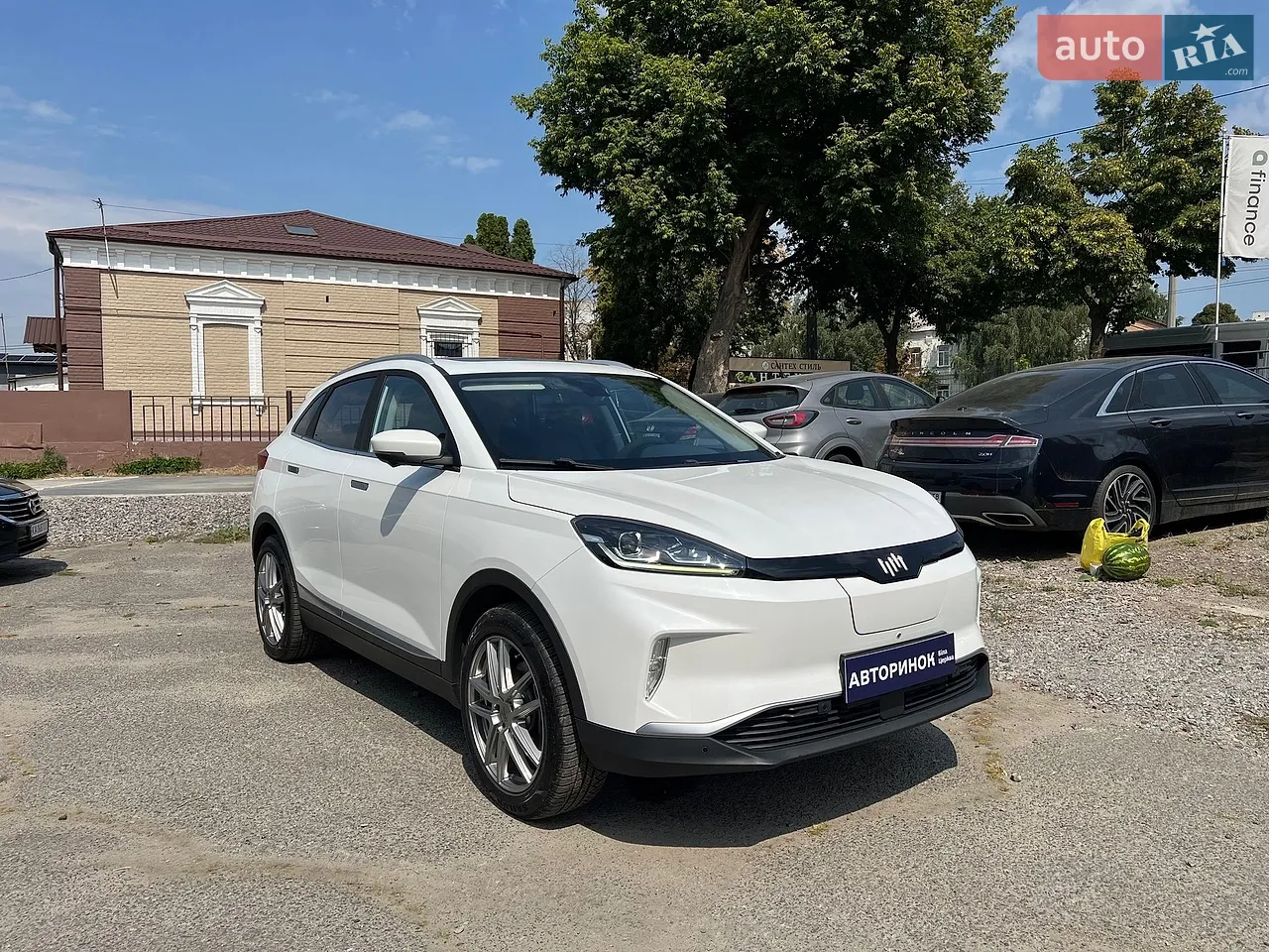 2019 Weltmeister EX5 - мініатюра 18