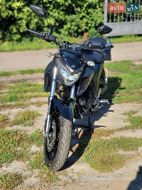Мотоцикл Туризм Yamaha FZ 250 2021 в Коломаке фото 5 Мотоцикл Туризм Yamaha FZ 250 2021 в Коломаке