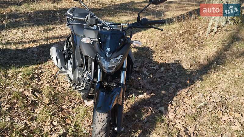 Мотоцикл Без обтекателей (Naked bike) Yamaha FZ 250 2022 в Десне фото 17 Мотоцикл Без обтекателей (Naked bike) Yamaha FZ 250 2022 в Десне