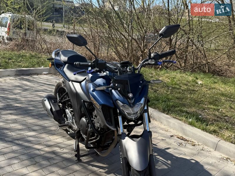 Мотоцикл Без обтекателей (Naked bike) Yamaha FZ 250 2023 в Львове