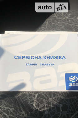 Лифтбек ЗАЗ 1103 Славута 2008 в 