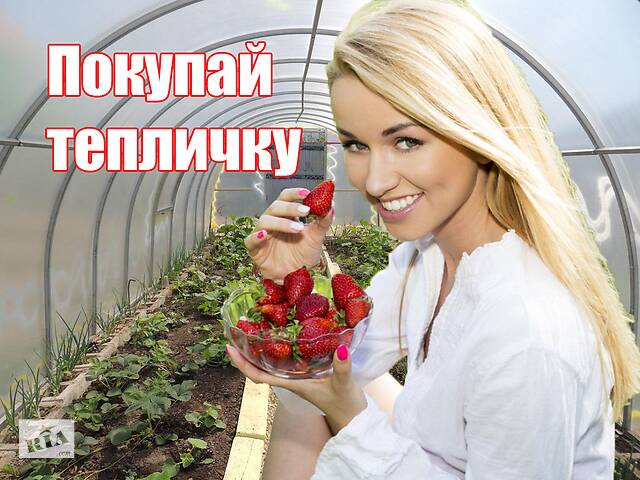 Теплица -парник.