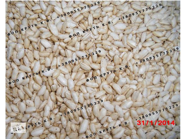 бу Воздушные зерна Puffed kernels в Курахово бу Воздушные зерна Puffed kernels в Курахово
